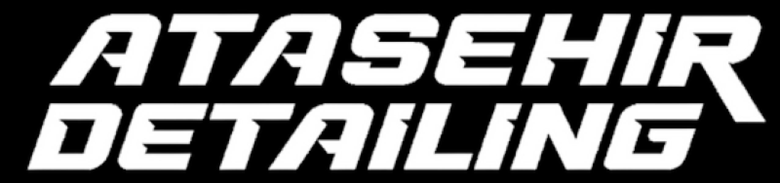 Ataşehir Detailing - %100 TPU PPF Kaplama, Seramik Kaplama, Cam Filmi, Boyasız Göçük Düzeltme fotoğraf 3